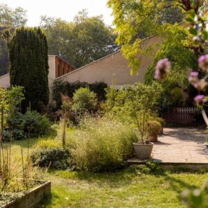 Healing Gardens wellbeing at Sands End