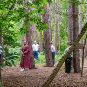 Wellbeing Forest Bathing at Sands End